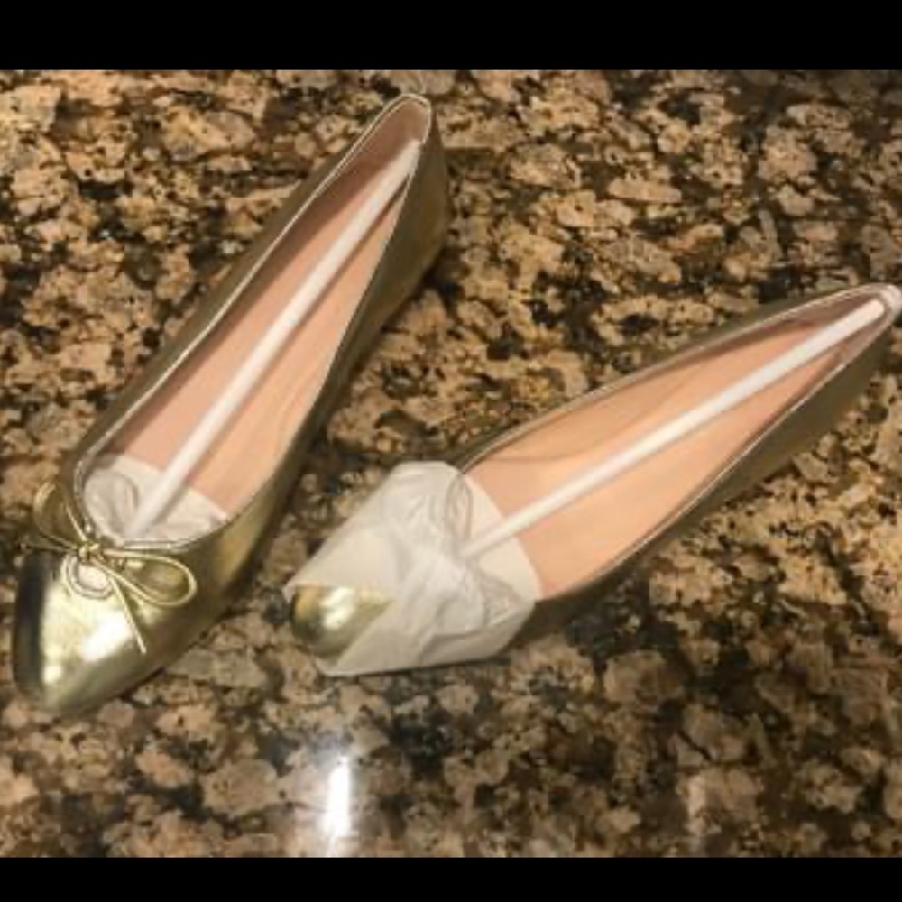 Stuart Weitzman flats
